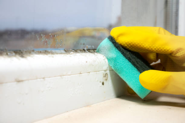 Office Mold Removal Services in Stonebridge, NJ