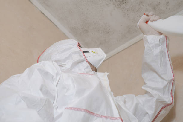 Best Mold Cleaning Services  in Stonebridge, NJ